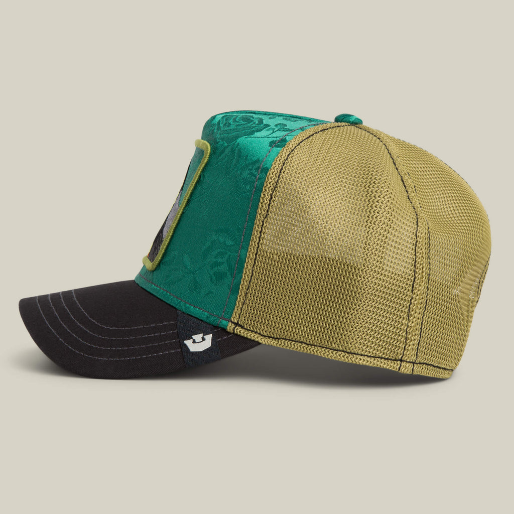 Gorra goorin Belize Toucan