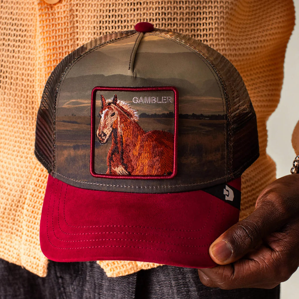 Gorra goorin  Stallion   In   The   Element