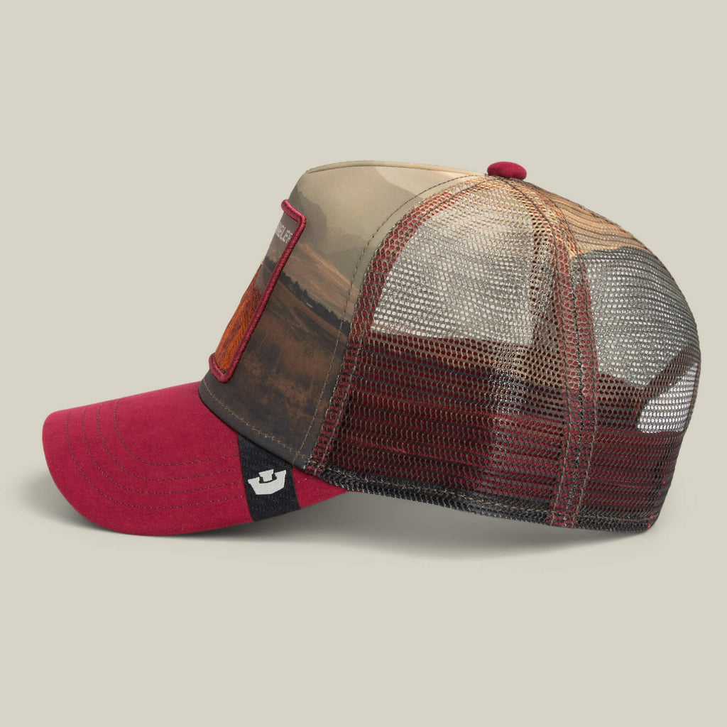 Gorra goorin  Stallion   In   The   Element