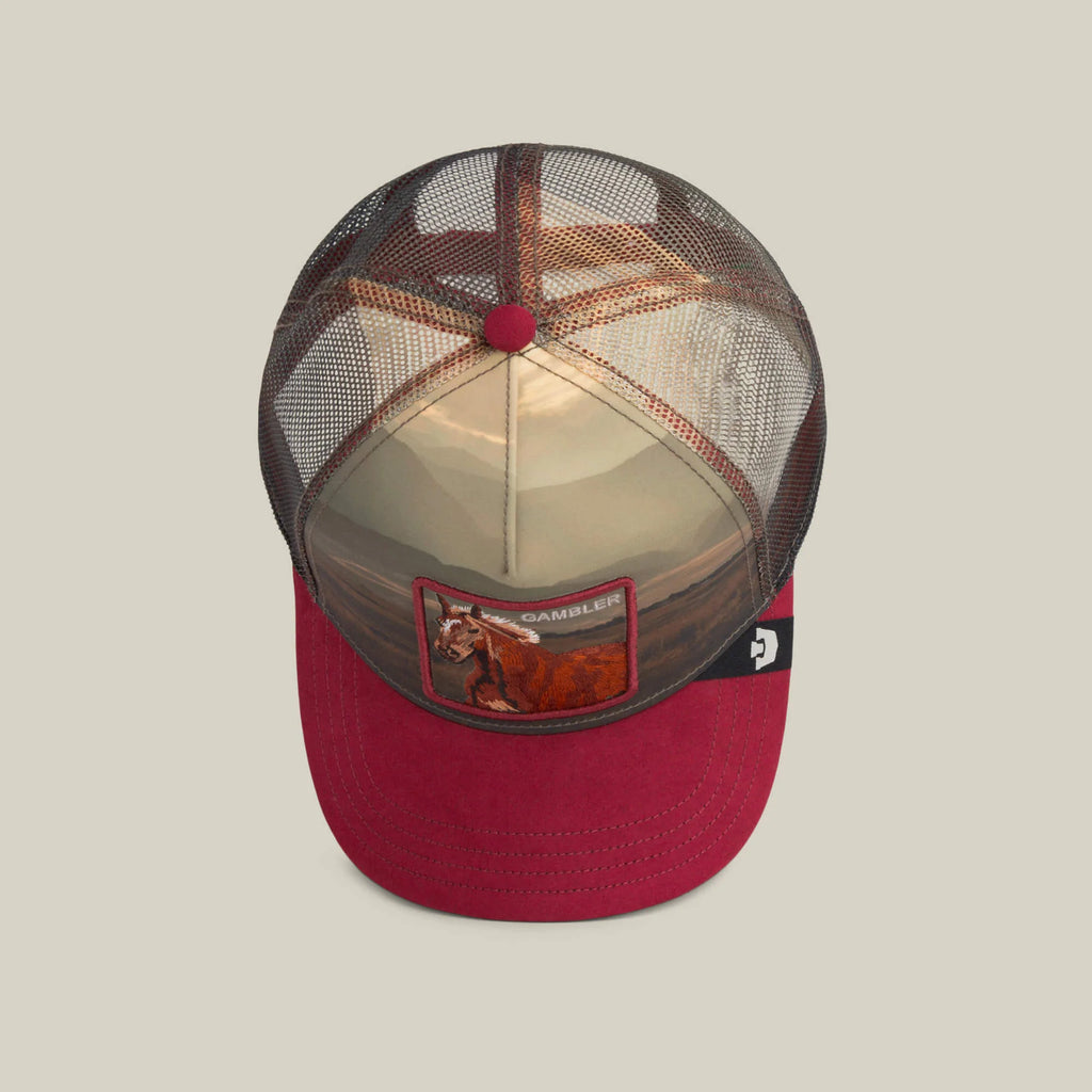 Gorra goorin  Stallion   In   The   Element