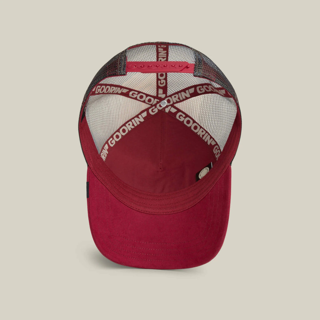 Gorra goorin  Stallion   In   The   Element