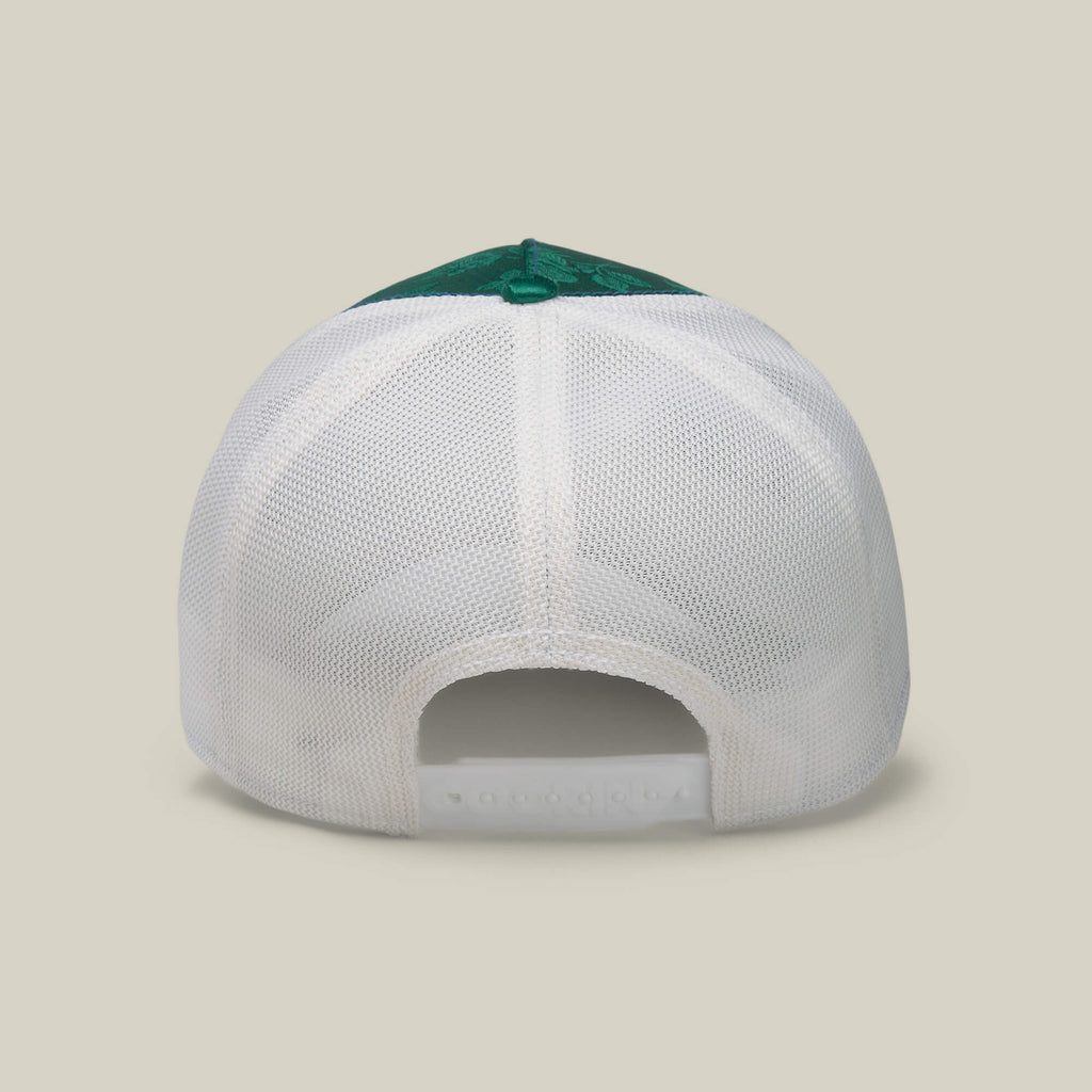 Gorra goorin  Honduras   Macaw