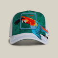 Gorra goorin  Honduras   Macaw