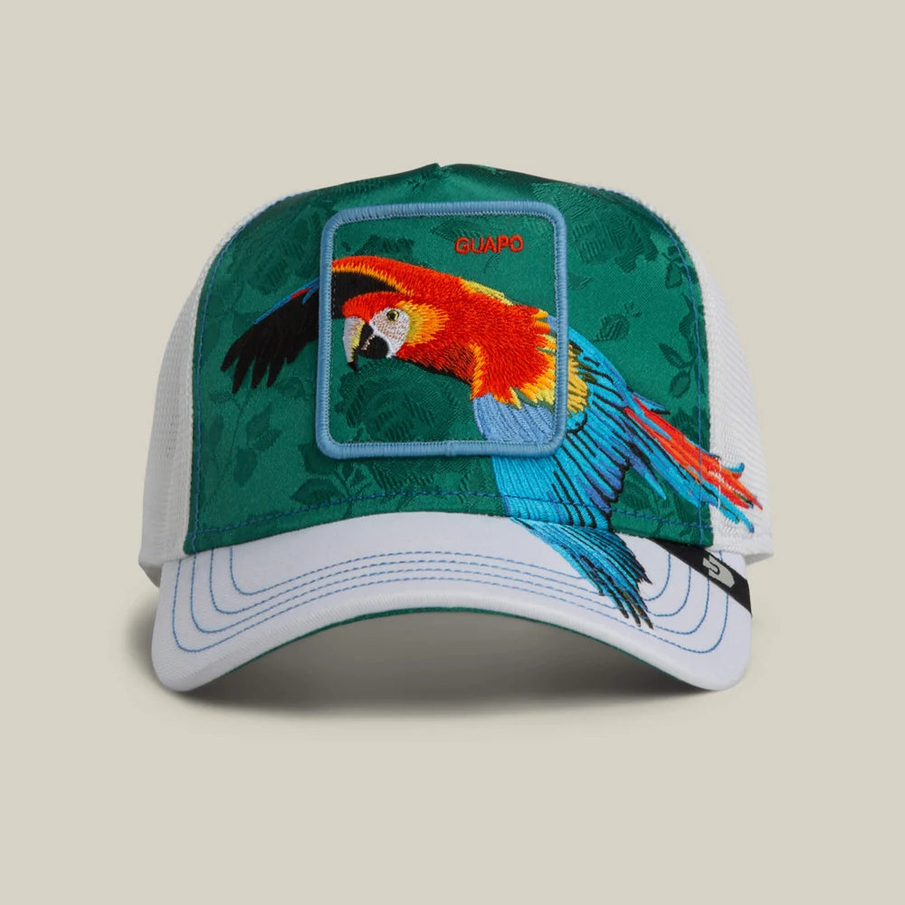 Gorra goorin  Honduras   Macaw