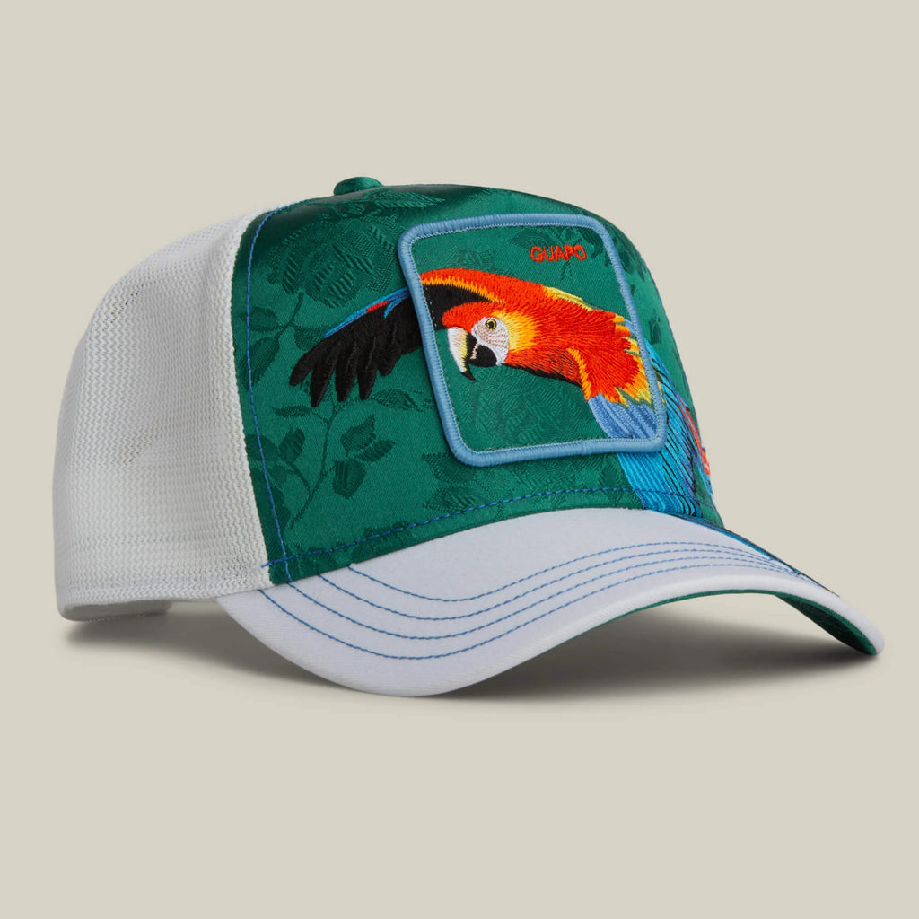 Gorra goorin  Honduras   Macaw