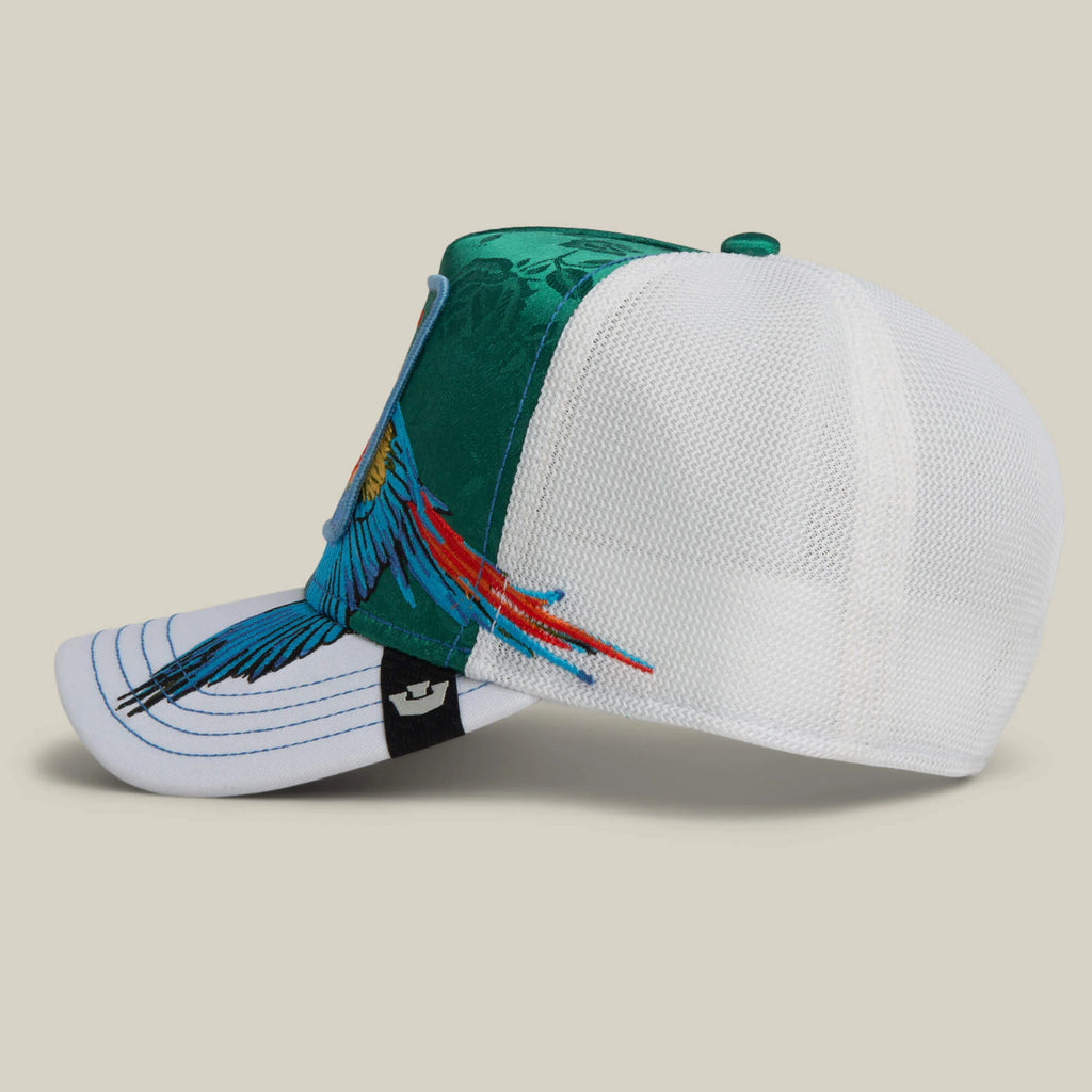 Gorra goorin  Honduras   Macaw