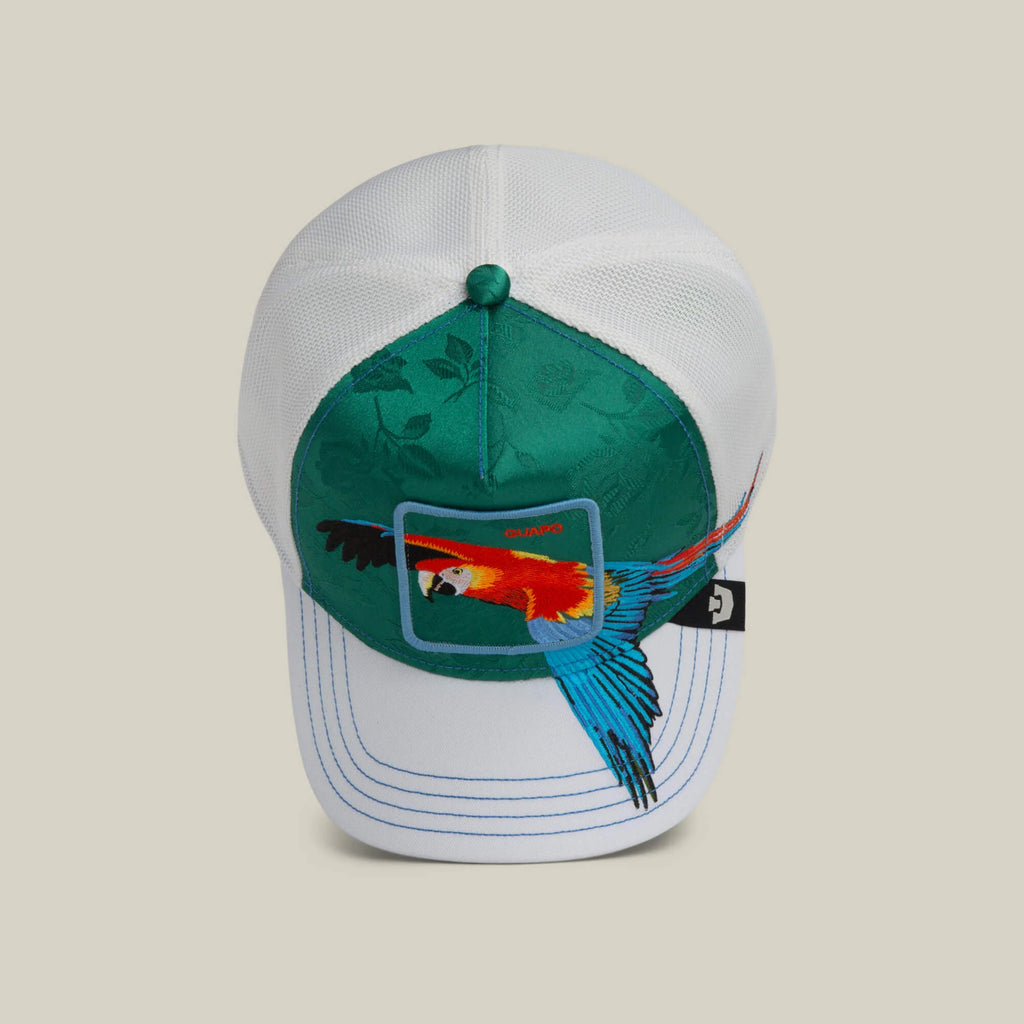 Gorra goorin  Honduras   Macaw