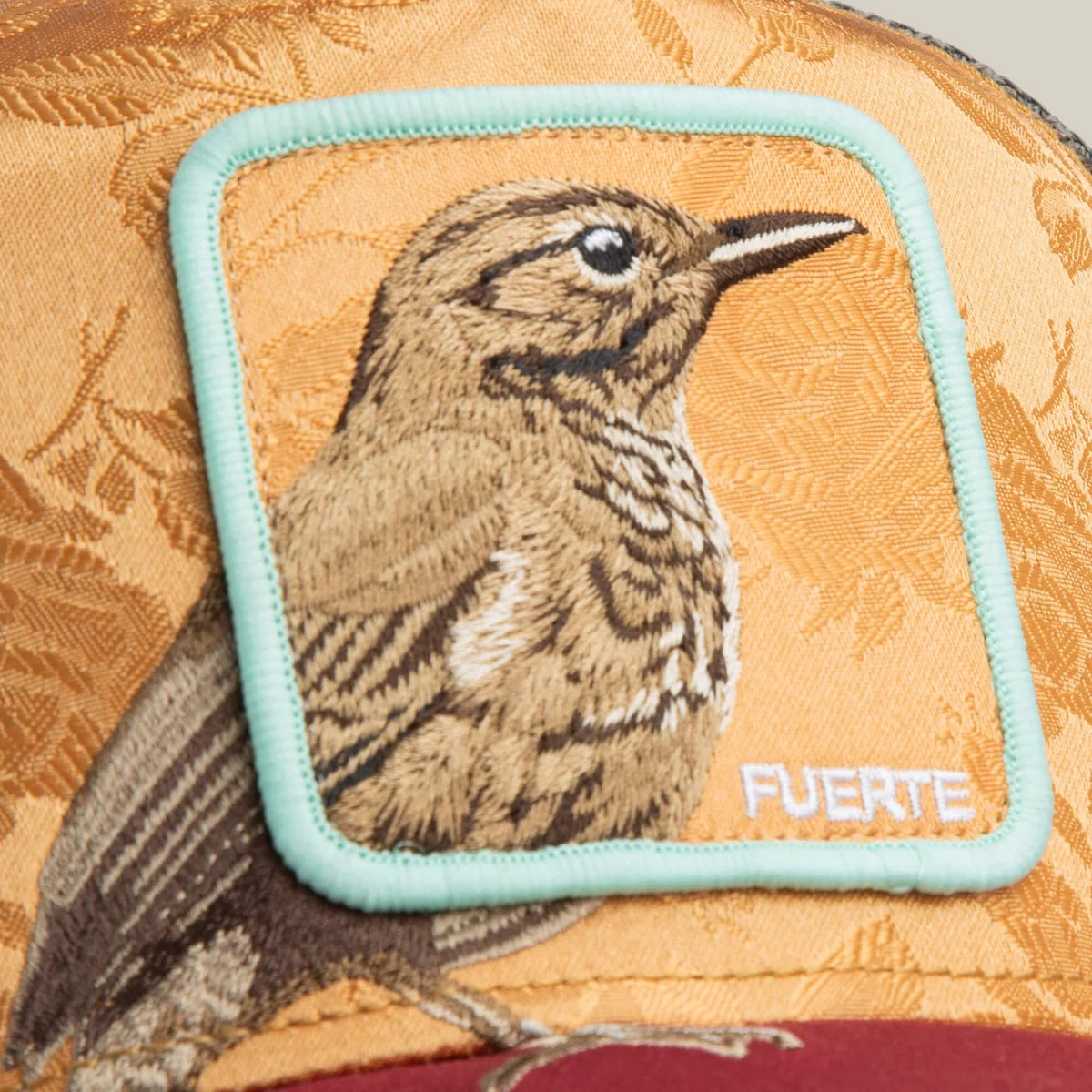 Gorra goorin Costa   Rica   Thrush