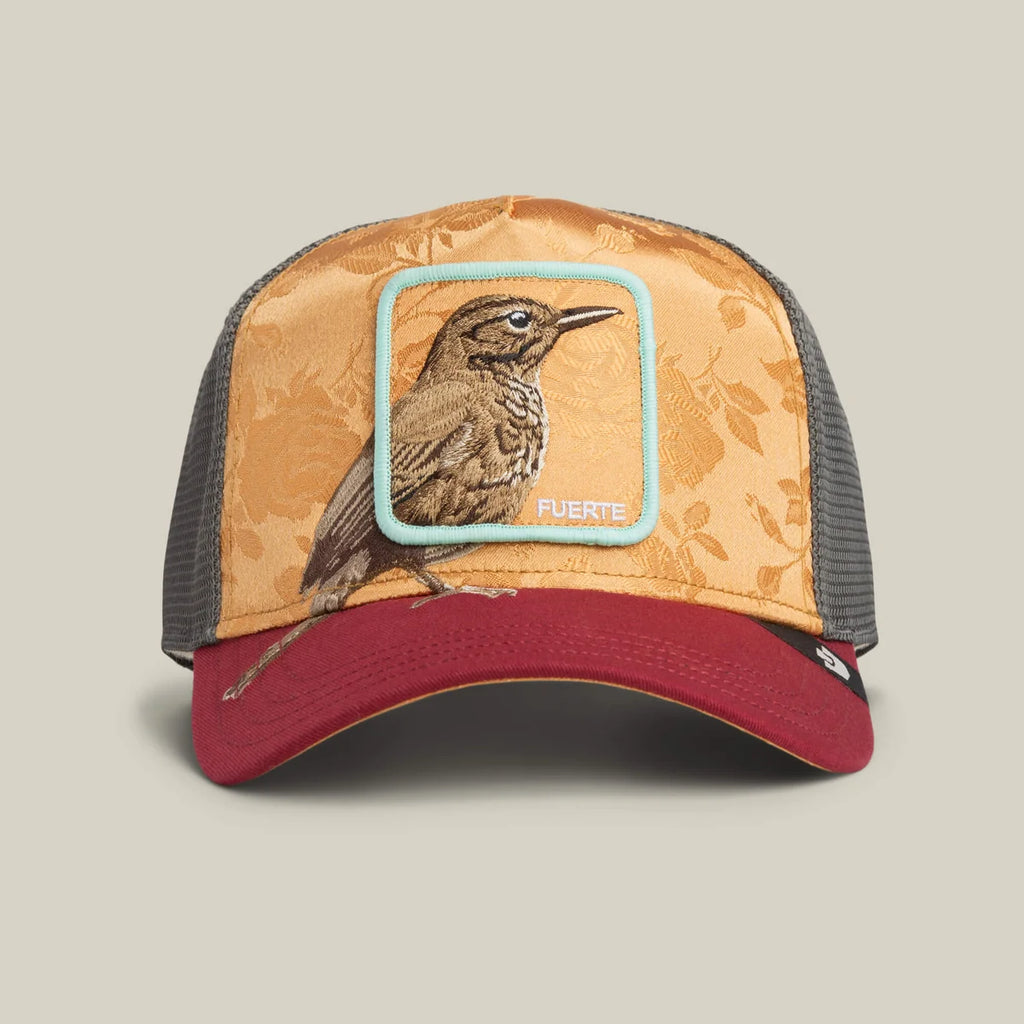 Gorra goorin Costa   Rica   Thrush