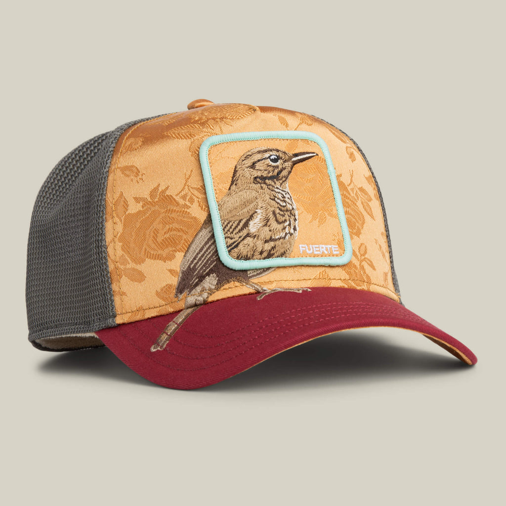 Gorra goorin Costa   Rica   Thrush