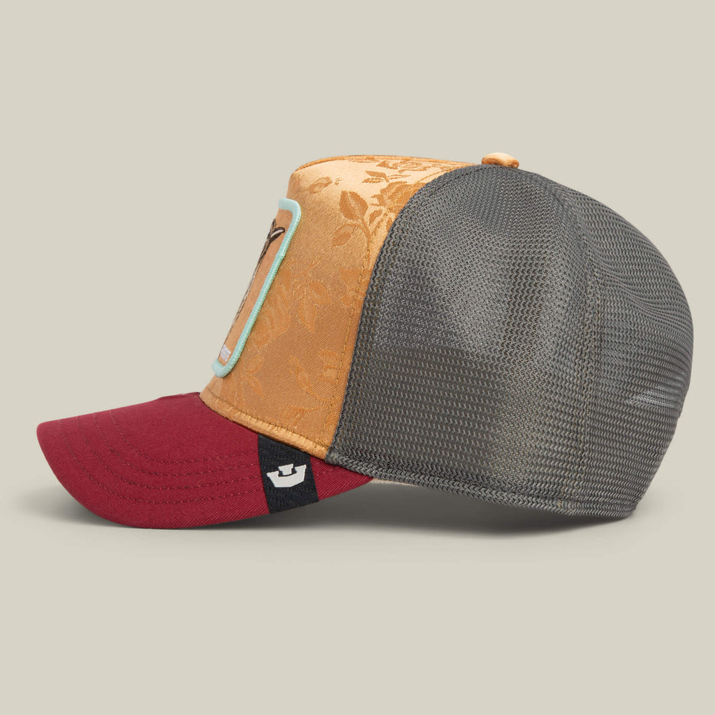 Gorra goorin Costa   Rica   Thrush