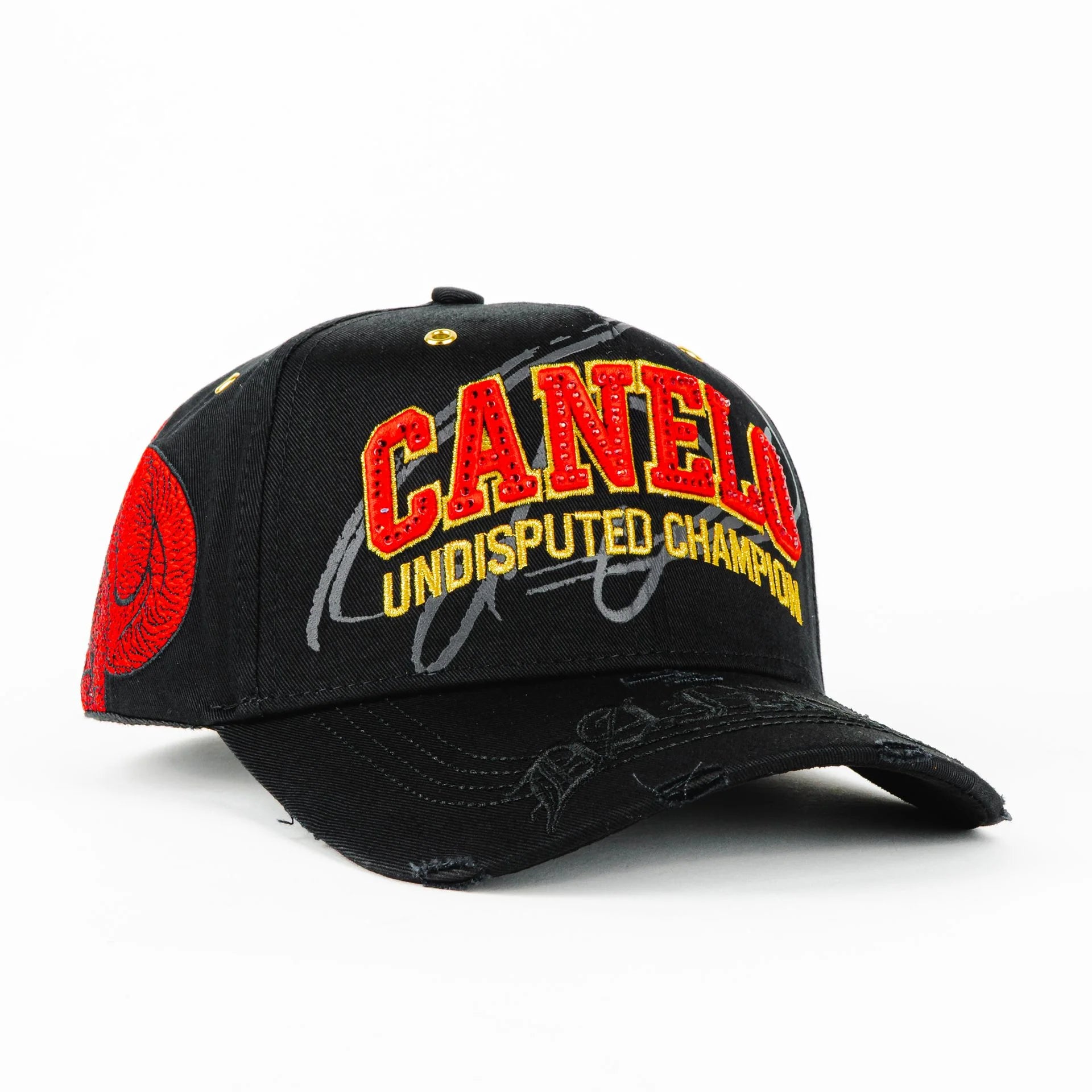DANDY CANELO POUND FOR POUND BLK