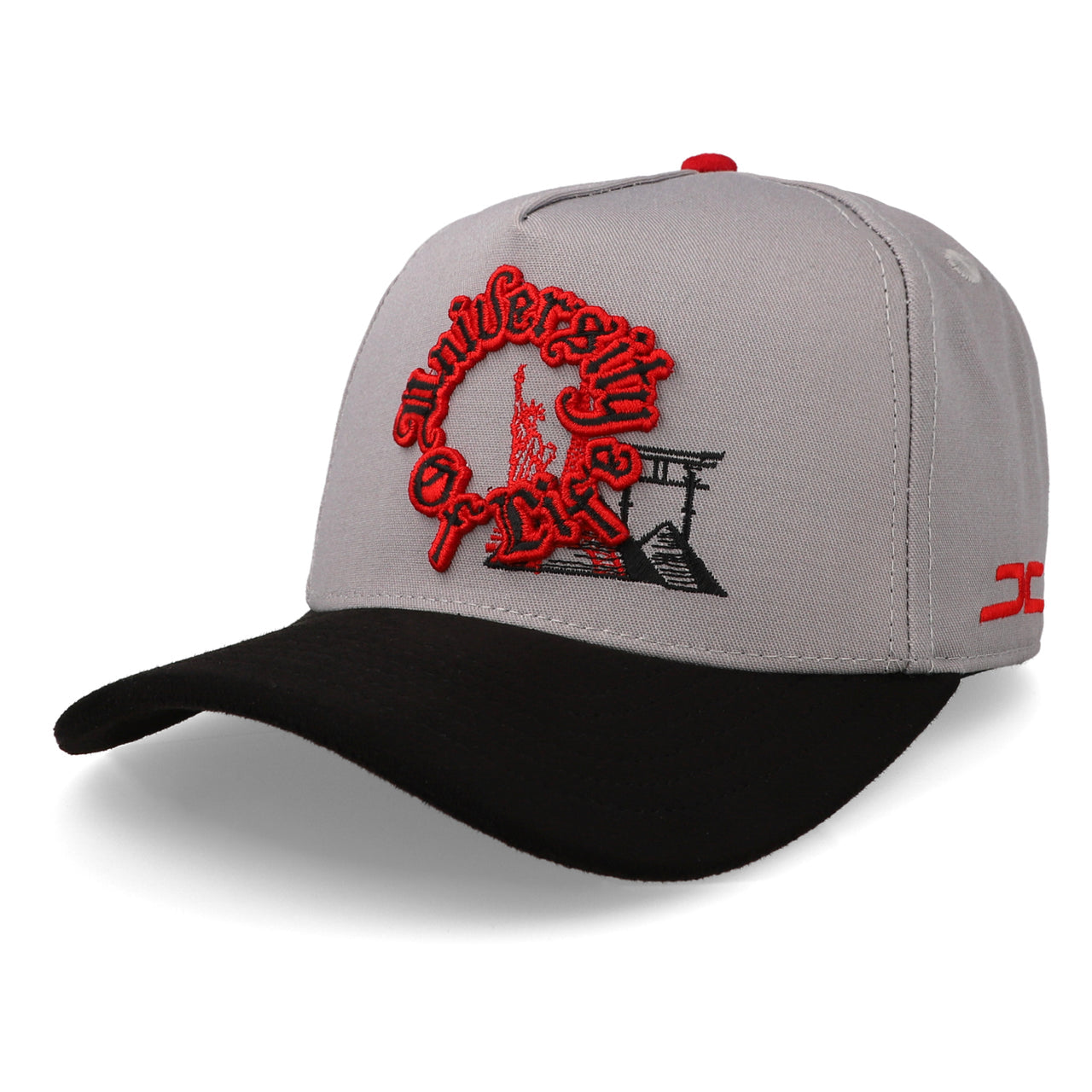 JC Hats University of Life Gris