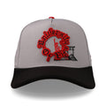 JC Hats University of Life Gris