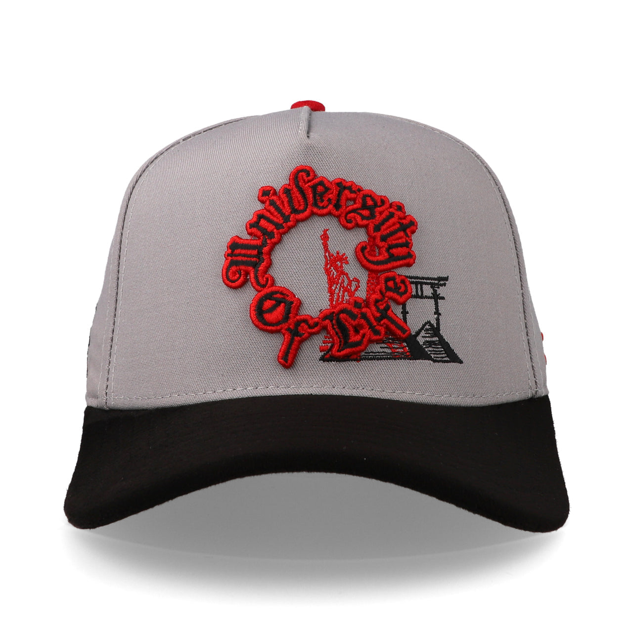 JC Hats University of Life Gris